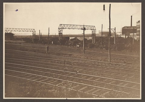 Plantation at North Melbourne, 1916–19