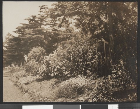 Fitzroy Gardens, [East Melbourne, Vic.], 1923–25