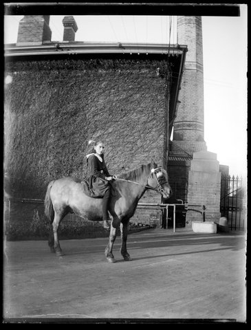 Crivelli's ponies at the Melbourne Mint, Victoria, c. 1914