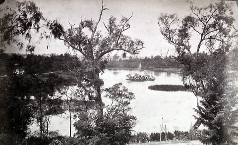 Botanical Gardens - Melbourne, c. 1865