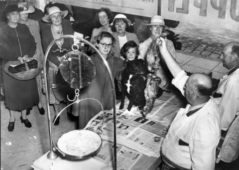 Opening day for first Victorian Butchers shop for pets at Glenferrie Rd, Malvern, c. 1944