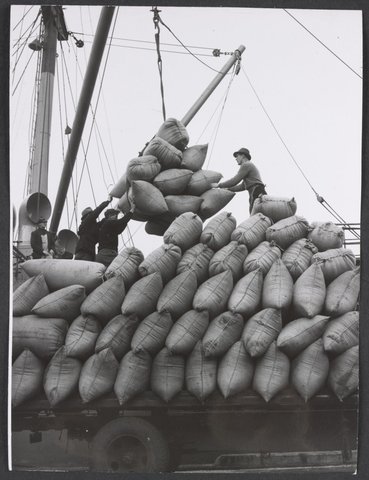 Fodder consignment being unloaded at Victoria Dock, Melbourne, c. 1945
