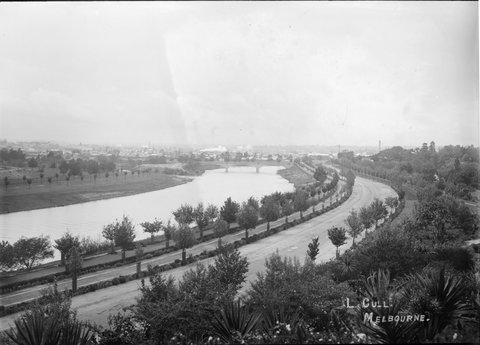 Alexandra Avenue, Queen Victoria Gardens and Yarra River, c. 1900