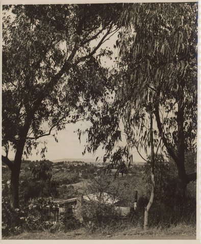Ringwood, Melbourne, Vic, 1950?