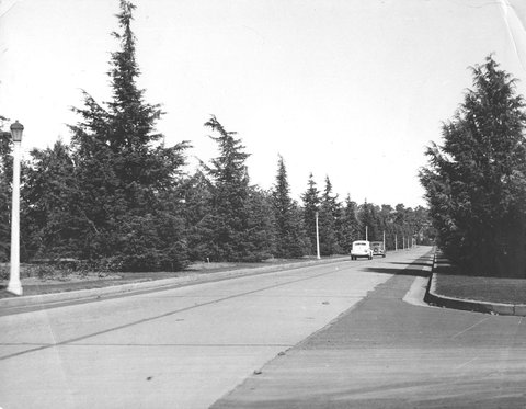 Melbourne in the late 1930s. Undeintified Melbourne road with two motor cars, 1936–39