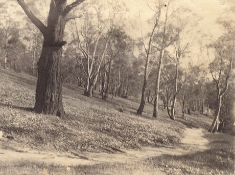 STUDLEY PARK, 1910–20