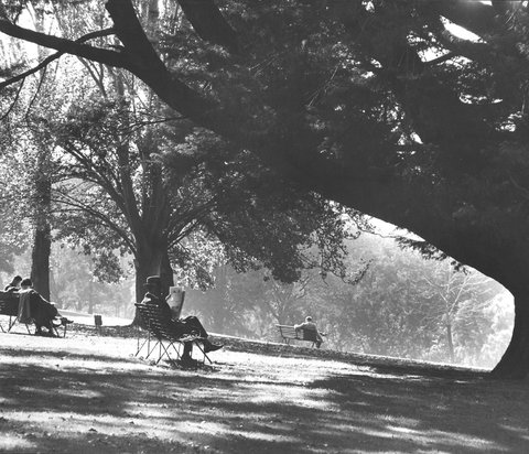 Melbourne in the late 1930s. A Melbourne public garden, 1936–39