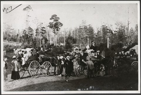 Picknicking party at unidentified location, possibly the Dandenong Ranges, Victoria, 1971