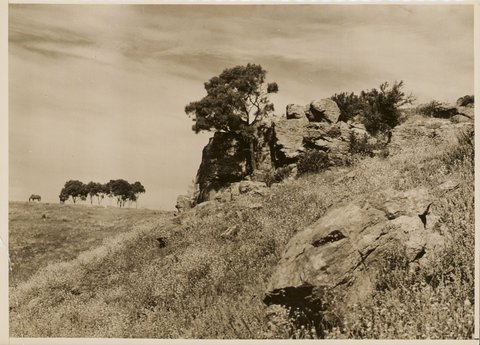 Keilor, near Maribyrnong River, Vict, 1950?