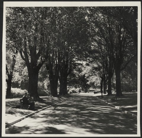 Views of Melbourne Victoria, 1950–54