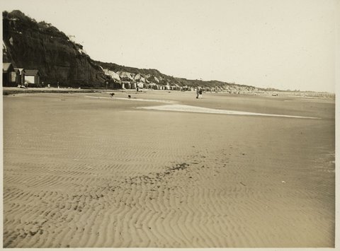 Plain of marine [...tion?], Beaumaris, 1910–20