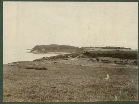 [Coastline, possibly part of Royal Melbourne Golf Club, Sandringham, Vic.], 1906