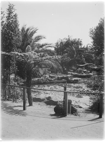 "Botanical Gardens, Melbourne", 1900–13