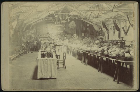 Presbyterian Church [Flower?] School, Williamstown, 1880–1900