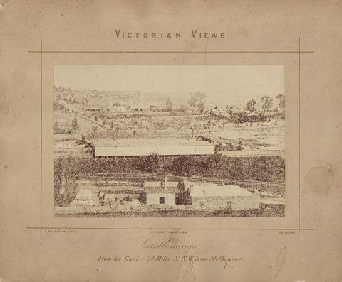 Castlemaine, from the Gaol, - 79 Miles N.N.W. from Melbourne, 1880