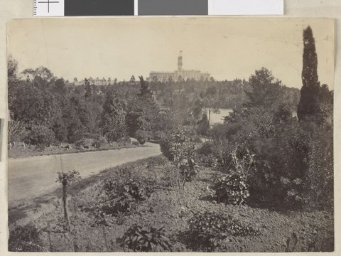 Scene in the Melbourne Botanical Garden, 1876