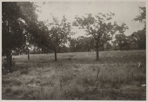 Open ground, Richmond, Victoria, 1947?