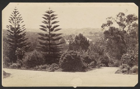 Public Gardens, Melbourne (ie. Botanical Gardens), 1870–80