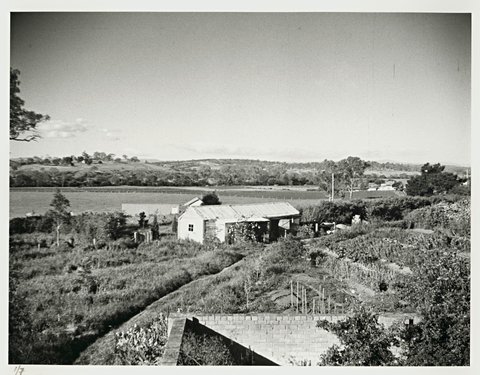 The view north from Heide, Templestowe, 1943