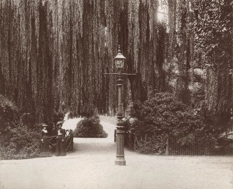 Gas lamp in Fitzroy gardens, 1890–1900