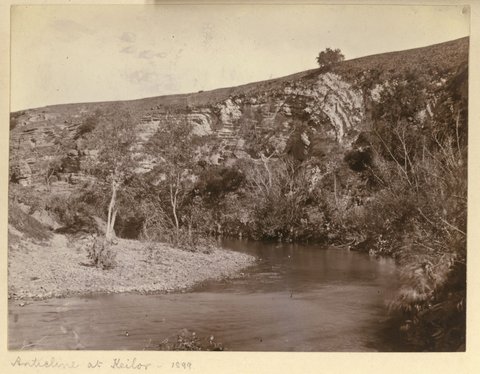 Anticline at Keilor [Vic.], 1899