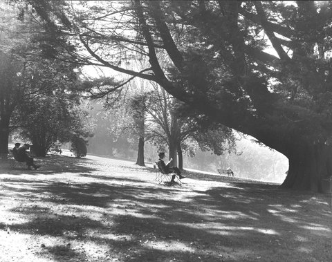 Melbourne in the late 1930s. In a Melbourne garden, 1936–39