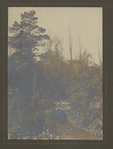 Treasury Gardens, possibly part of the Japanese Garden, Melbourne, Victoria, 1900?