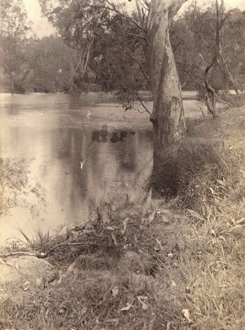 Studley Park, 1910–20