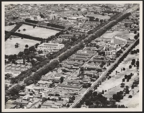 Aerial view of St. Kilda Road, Melbourne, Victoria, 1950–54