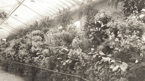 Conservatory Fitzroy Gardens Melbourne, 1934
