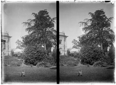 Views of Pine Grove, Lennox Street, Richmond, 1902–08