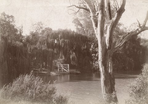 River and bank with willows, possibly Yarra River, 1890–1900