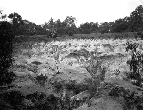 Frankston Reservoir, 1952