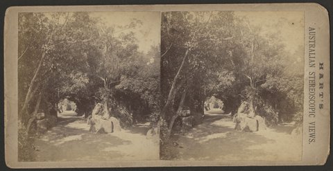 Path through the Botanical Gardens, Melbourne, 1885