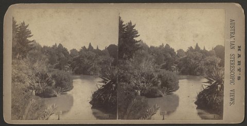 Lake in the Botanical Gardens, Melbourne, 1885