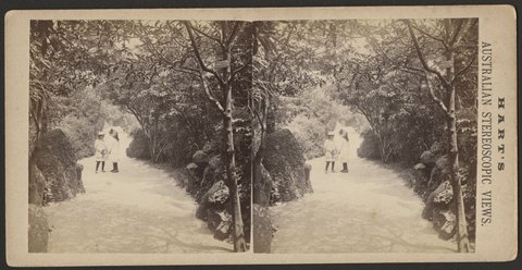 Two little girls standing on a path in the Botanical Gardens, Melbourne, 1885