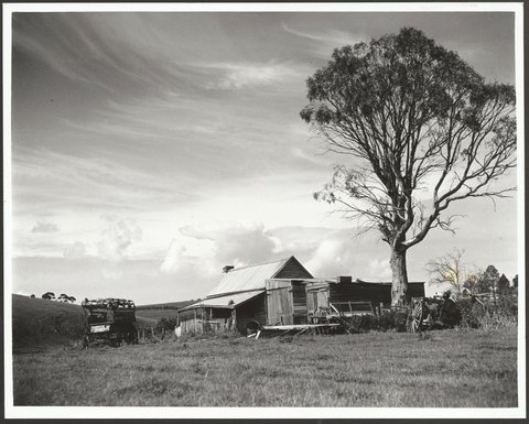 Deserted farmhouse and sheds, Keilor District, 1950–51