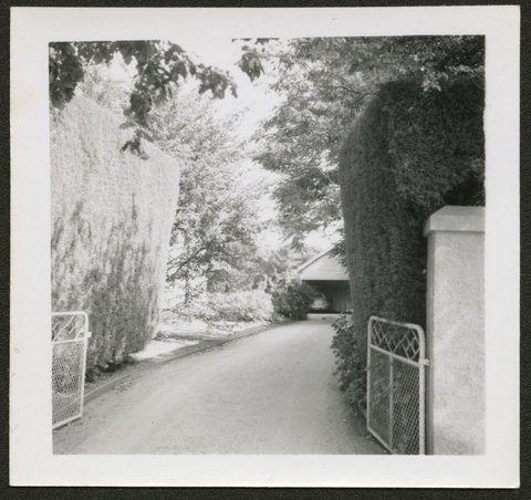 View of houses and large gardens, possibly Alma Road, Camberwell, 1940–50