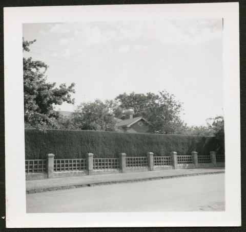 View of houses and large gardens, possibly Alma Road, Camberwell, 1940–50