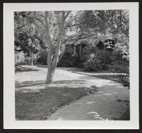 View of houses and large gardens, possibly Alma Road, Camberwell, 1940–50