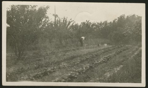 Market Garden Blackburn 1927