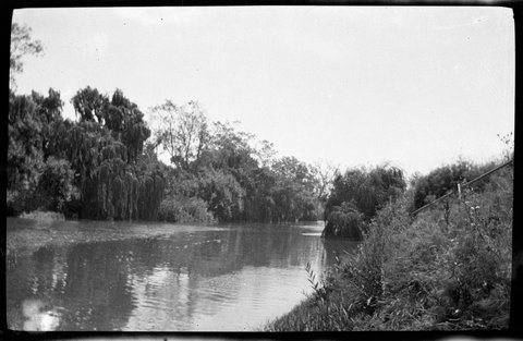 Collection of flexible base negatives showing the Yarra River in flood, 1920–30