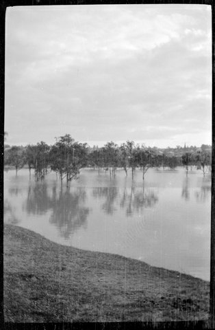 Collection of flexible base negatives showing the Yarra River in flood, 1917–33