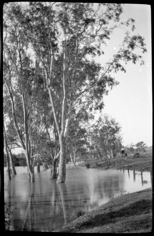 Collection of flexible base negatives showing the Yarra River in flood, 1920–30