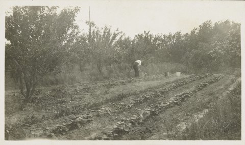 Market Garden Blackburn 1927