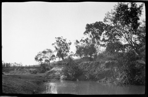 Collection of flexible base negatives showing the Yarra River in flood, 1920–30