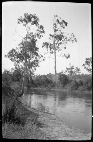 Collection of flexible base negatives showing the Yarra River in flood, 1920–30