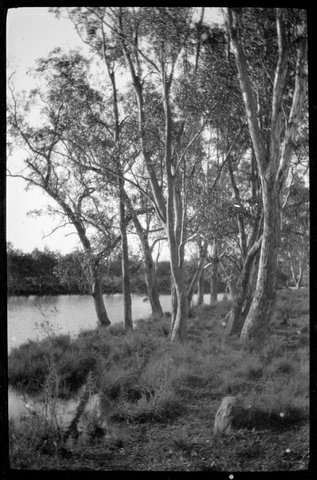 Collection of flexible base negatives showing the Yarra River in flood, 1920–30
