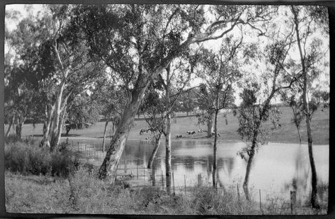 Collection of flexible base negatives showing the Yarra River in flood, 1917–33