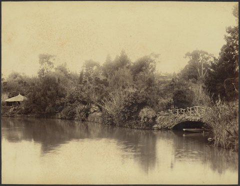 Rustic bridge, Botanical Gardens, Melbourne, 1888?